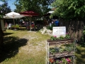 20180617_152857-1612x1209 (800x600)