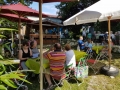 20180617_153005-1612x1209 (800x600)