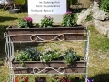 20180617_161919-1209x1612 (600x800)