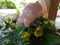 FB_IMG_1497281629067 (800x600)