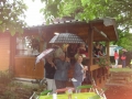 IMG_0900 (800x600)
