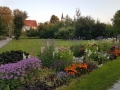 FB_IMG_1531454700781 (800x600)