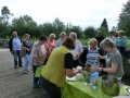 frühjahr 2016 266 (800x600)