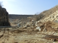 CIMG2009 (800x600)