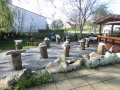 bild 065 (800x600)