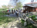 bild 094 (800x600)