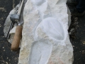 bild 146 (600x800)