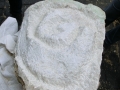 bild 152 (600x800)